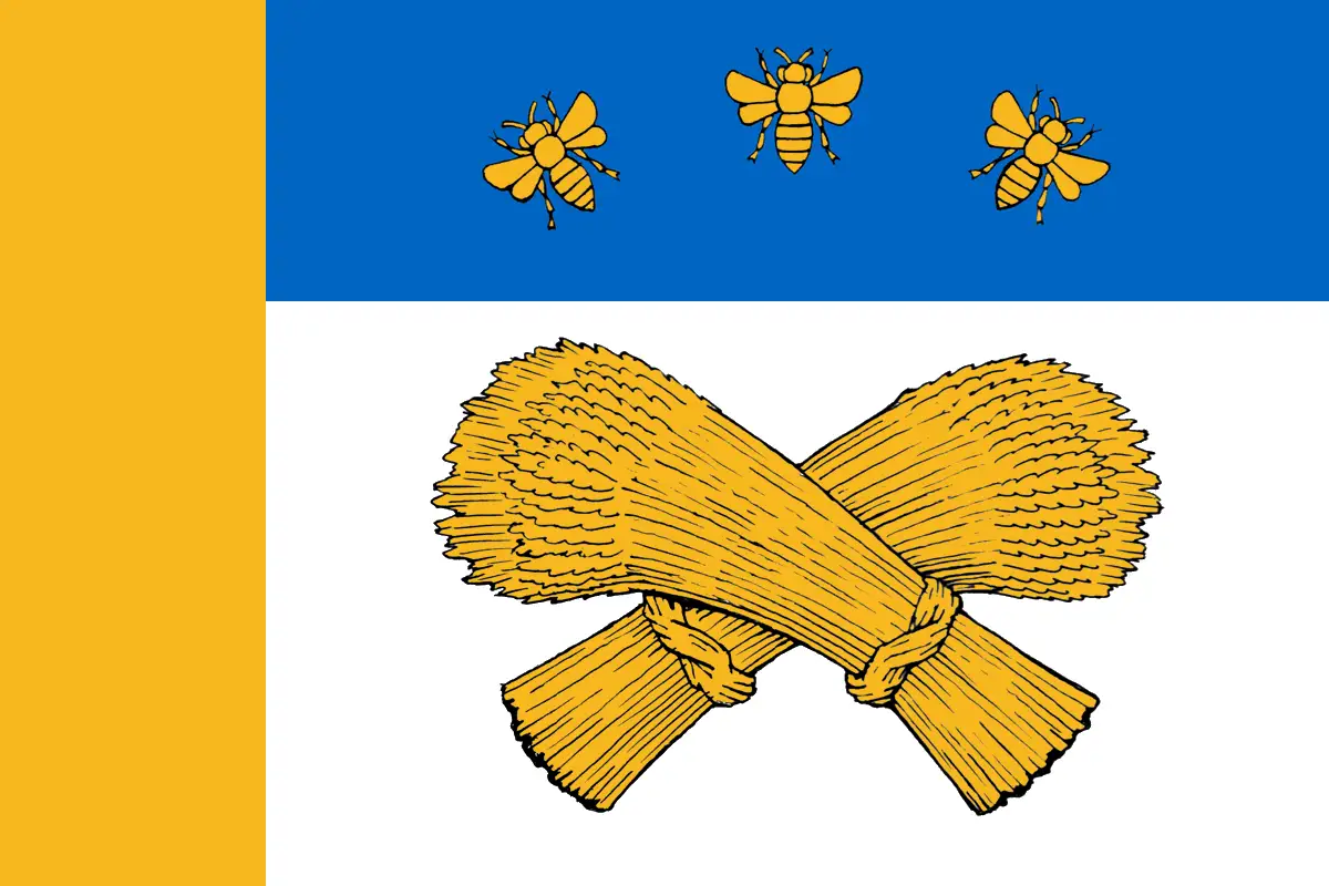 Флаг: Шацкий район